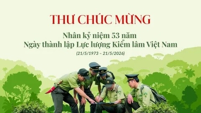 ທ່ານຮອງລັດຖະມົນຕີ ຫງວຽນກວກຈີ ໄດ້ສົ່ງຈົດໝາຍອວຍພອນເນື່ອງໃນໂອກາດສະເຫຼີມສະຫຼອງ 53 ປີແຫ່ງວັນສ້າງຕັ້ງກຳລັງປົກປ້ອງປ່າໄມ້ຫວຽດນາມ.