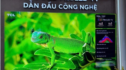Souboj o televizní trh na vietnamském trhu se vyostřuje: Sony a Samsung mění strategie, zatímco TCL „hraje velkou hru“.