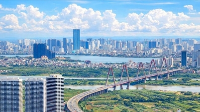 Lei da Capital 2026: Garantindo a participação dos diretamente afetados pelo documento.