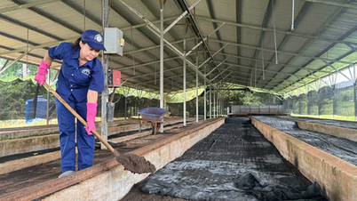 ຮຽນຮູ້ຈາກຈິດໃຈທີ່ມີຄວາມຮັບຜິດຊອບ ແລະ ຄວາມຄິດສ້າງສັນຂອງລຸງໂຮ່.