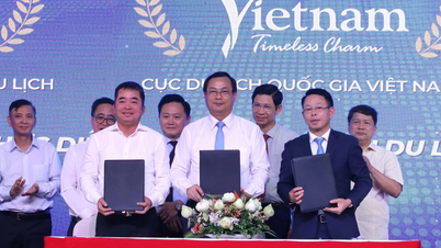 Báo Tiền Phong ký biên bản ghi nhớ về tổ chức Diễn đàn thường niên du lịch xanh Quốc gia