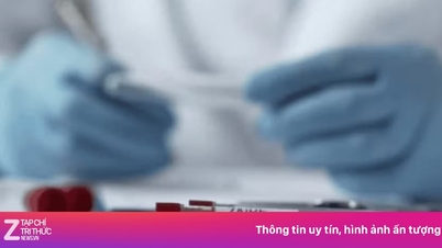 Helsedepartementet ber om snarest tiltak for å forebygge og kontrollere ebolautbruddet.