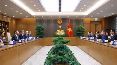 Prime Minister Le Minh Hung receives the British Ambassador to Vietnam.