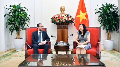 Deputy Minister Le Thi Thu Hang receives British Ambassador Iain Frew
