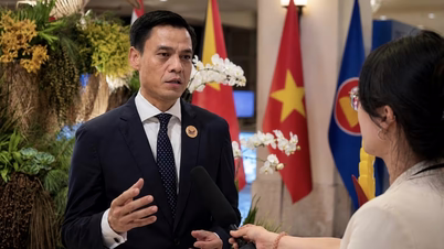 Deputy Minister of Foreign Affairs Dang Hoang Giang answers questions in an interview regarding the results of Prime Minister Le Minh Hung's participation in the 48th ASEAN Summit.