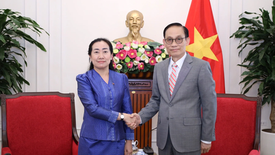 Politburo member and Minister of Foreign Affairs Le Hoai Trung receives the Cambodian Ambassador.