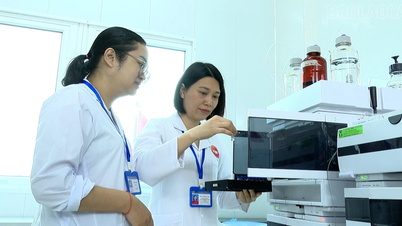 Een vrouwelijke laboratoriumingenieur en haar stille reis aan de frontlinie van ziektepreventie in Lao Cai.