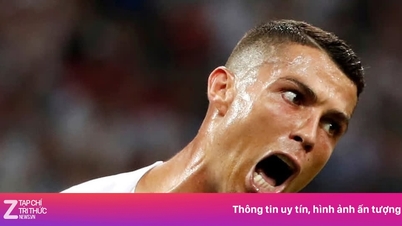 "منجم الذهب" للفيفا