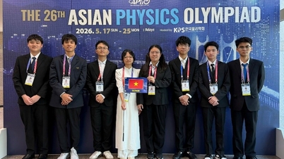 Résultats de l'équipe nationale vietnamienne aux Olympiades asiatiques de physique de 2026