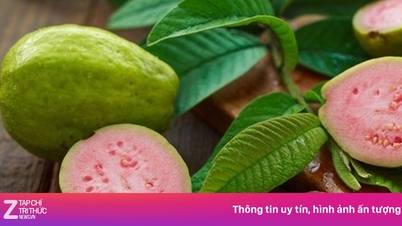 Tin vui cho người thích ăn ổi ruột hồng