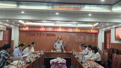 Mesyuarat Majlis untuk menilai dan memilih pelabur bagi kluster perindustrian My Thanh Bac 3 dan My Thanh Bac 4.