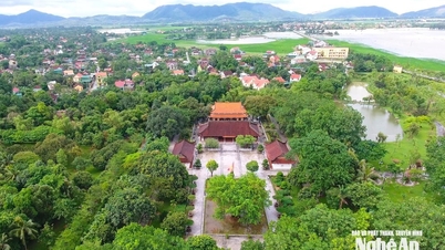 Neue Erlebnisse beim Besuch der Heimatstadt von Präsident Ho Chi Minh.