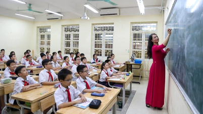 Mức phụ cấp ưu đãi theo nghề của nhà giáo