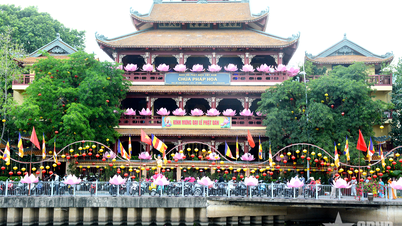 La ciudad de Ho Chi Minh brilla con esplendor durante la temporada del cumpleaños de Buda.