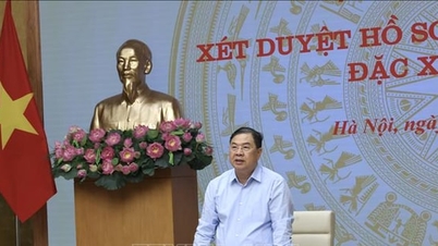 부총리: 사면 대상자로 제안된 모든 사례는 공개적이고 투명하며 신중하게 평가되어야 합니다.
