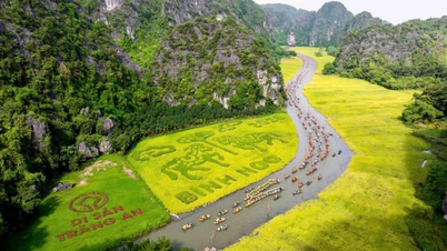พื้นที่ทางวัฒนธรรมการเกษตรอันเป็นเอกลักษณ์ในงานเทศกาลทองตามค็อก-ตรังอาน ปี 2026