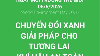 Melancarkan aktiviti untuk meraikan Hari Alam Sekitar Sedunia, Bulan Tindakan untuk Alam Sekitar, Hari Lautan Sedunia dan Minggu Laut dan Kepulauan Vietnam pada tahun 2026.