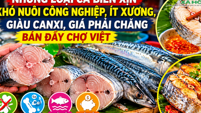 En los mercados vietnamitas se pueden encontrar fácilmente variedades de mariscos de alta calidad, difíciles de cultivar, sin espinas, ricos en calcio y a precios asequibles.