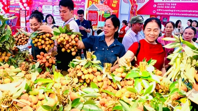 Личи сорта Тхань Ха теперь можно приобрести в супермаркетах GO! Vietnam.