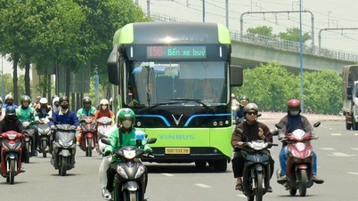 Otto fasi per attivare 13 linee di autobus per il trasporto di persone da Ho Chi Minh City all'aeroporto di Long Thanh.