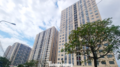 ダナン市は社会住宅建設用地として113か所を承認したが、その中で最も広い地域はどこだろうか？