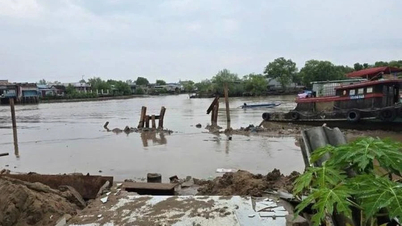 Ca Mau investeert nog eens 23 miljard VND om het project voor de aanleg van erosiebestendige dijken voort te zetten, een project dat eerder te kampen had met onregelmatigheden.