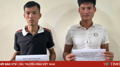 Pihak berwenang sedang menyelidiki dengan cepat insiden tabrak lari yang terjadi setelah kecelakaan lalu lintas di Ha Tinh.
