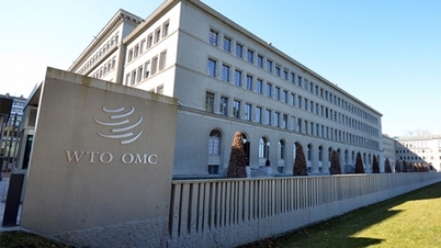 China legt ein Dokument vor, in dem es seine Position zur WTO-Reform darlegt.