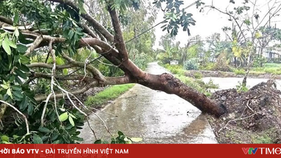 Tempestades severas em Ca Mau danificaram quase 50 casas em apenas alguns minutos.