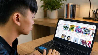 Verschärfung des Steuermanagements auf digitalen Plattformen.