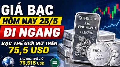 Giá bạc sáng 25/5 ổn định, bạc thế giới neo quanh 75,5 USD