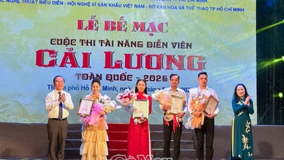 Ca Mau نے 2026 نیشنل Cai Luong ایکٹر ٹیلنٹ مقابلہ میں 2 ایوارڈز جیتے۔