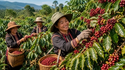Giá cà phê hôm nay 25.5: Nông dân kì vọng vượt 90.000 đồng/kg