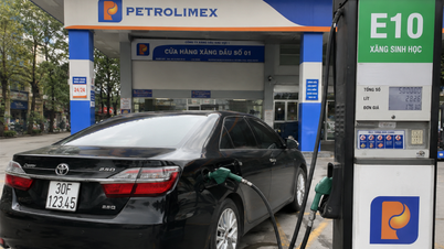 Grote auto- en motorfabrikanten in Vietnam praten over E10-benzine.