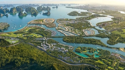 Vinhomes เปิดตัวโครงการเปลี่ยนทรัพยากรทองคำให้เป็นพลังงานในระบบเศรษฐกิจ