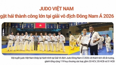 Zuidoost-Aziatisch Judo Kampioenschap 2026: Bevestiging van de diepte en kracht van het Vietnamese judo