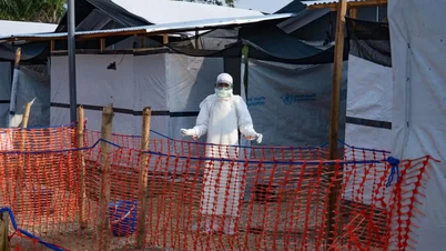 La possibilité que le virus Ebola entre au Vietnam ne peut être exclue.