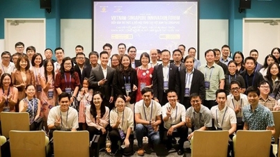VSIF 2026 mengesahkan peranan intelektual Vietnam di luar negara dalam pembangunan negara.