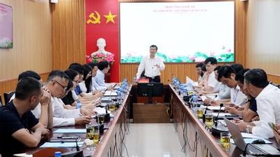 Wiceprzewodniczący Prowincjonalnego Komitetu Ludowego Thai Van Thanh pracował nad szeregiem kluczowych zadań w dziedzinie wychowania fizycznego i sportu.