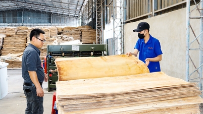 Memanfaatkan peluang untuk mengembangkan material kayu rekayasa untuk konstruksi ramah lingkungan.