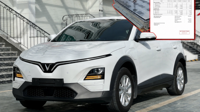Surprisingly, used VinFast VF6 electric car batteries still fetch an unbelievable resale price.