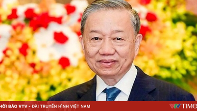 Algemeen secretaris en president To Lam brengt een staatsbezoek aan Singapore.