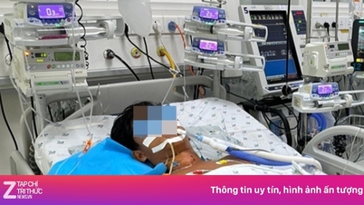 Un estudiante varón de Ciudad Ho Chi Minh sufre atrofia muscular e insuficiencia multiorgánica tras un partido de fútbol.