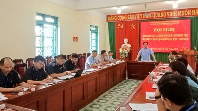 News: Inspection of administrative discipline and order, and the performance of duties at the Special-Use and Protection Forest Management Board.
