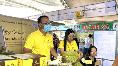 Dak Lak'ta durian yüklü 500 kamyon geçit töreni yapmaya hazırlanıyor.