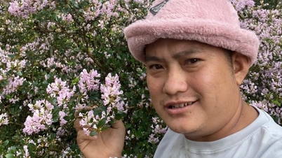 Ein Dorfbewohner in Dong Thap (ehemals Provinz Tien Giang) hat eine unbezahlbare, originale rosa Tanne mit pseudo-rosa Blüten entdeckt.