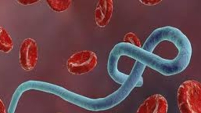 Vårdinrättningar förbereder sig för att isolera och skärpa kontrollåtgärderna mot ebolautbrottet.