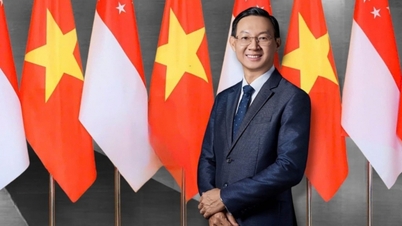 El secretario general y presidente To Lam visita Singapur: para esbozar una visión a largo plazo, decidido a lograr avances significativos y concretar el contenido de la Alianza Estratégica Integral.