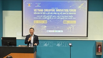Att stärka relationerna mellan Vietnam och Singapore och Vietnams position på den internationella scenen.
