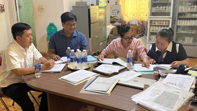 Provinční ministerstvo zemědělství Tay Ninh zorganizovalo hodnocení za účelem udržení podmínek bez chorob v obci Thanh Hoa.
